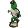 Custom Mascot Bobbleheads From Your Pictures